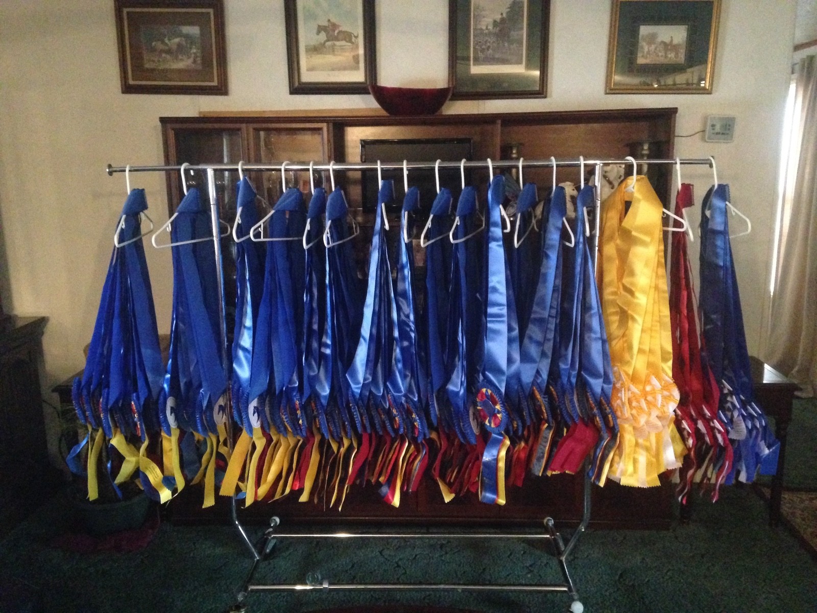 Lots Of Horse Show Award Ribbons Rosettes Championship Sash Arts Crafts You Pick