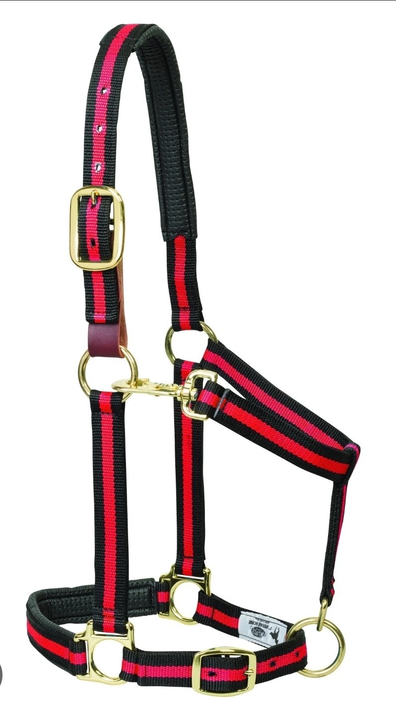 Cob Halter