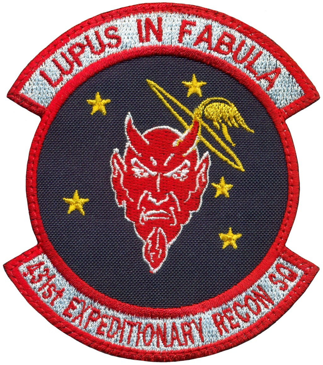 USAF 431st EXPEDITIONARY RECONNAISSANCE SQUADRON PATCH