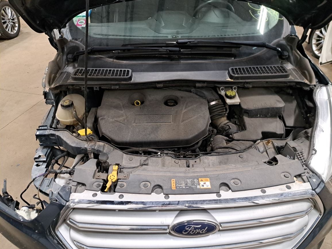 2019 Escape Jack Sku#4415463
