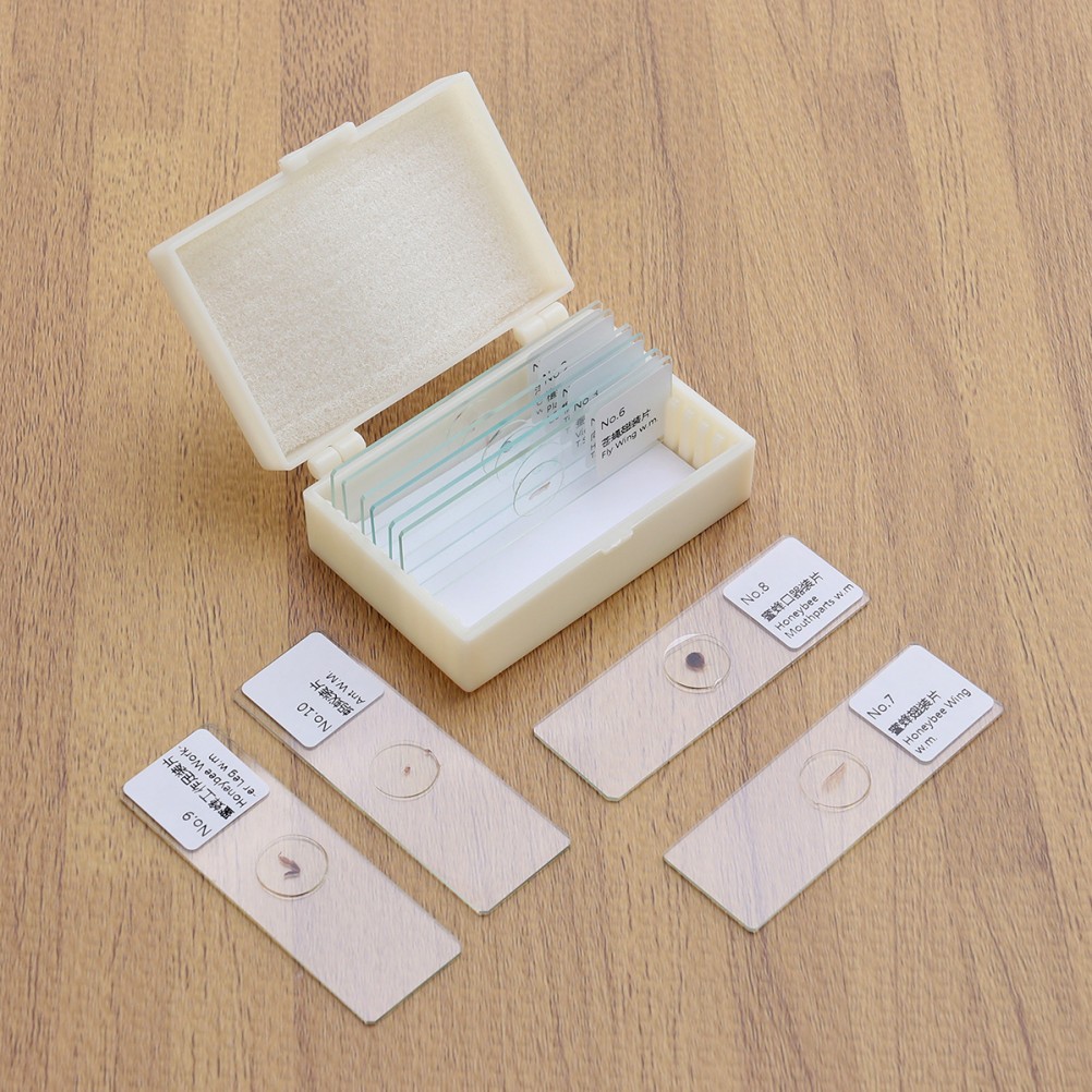 10 PCS/Set Specimen Slides for Microscope with Specimens Plants Beginner