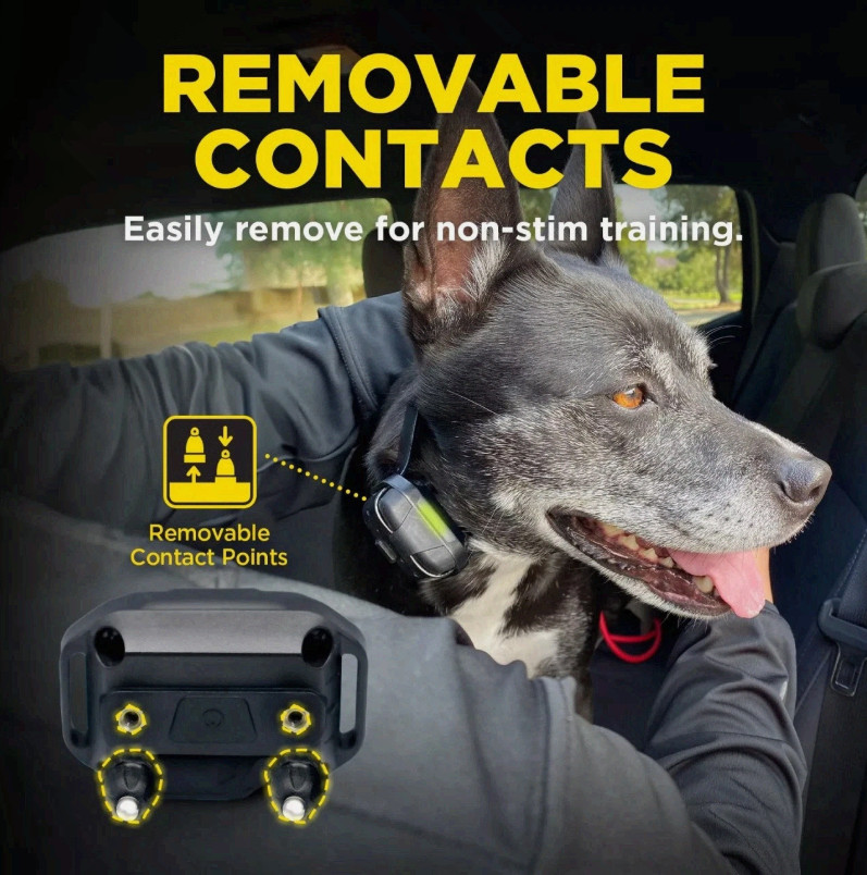 Dogtra 280X Remote Dog Training Collar 1/2 Mile Range