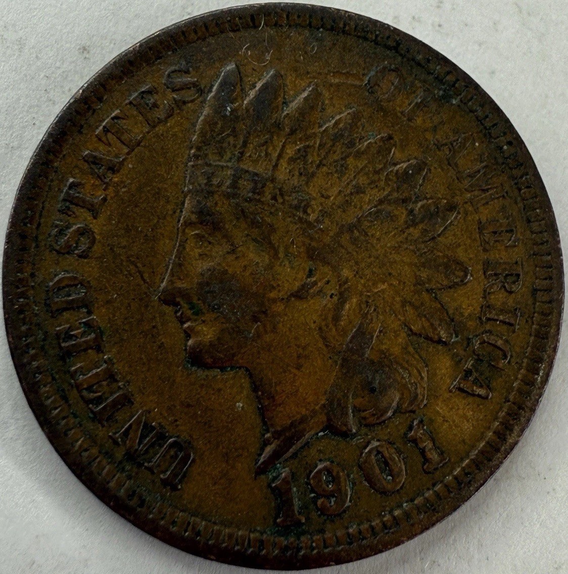 1901 Indian Head Cent Exact Coin Imaged #IND1213