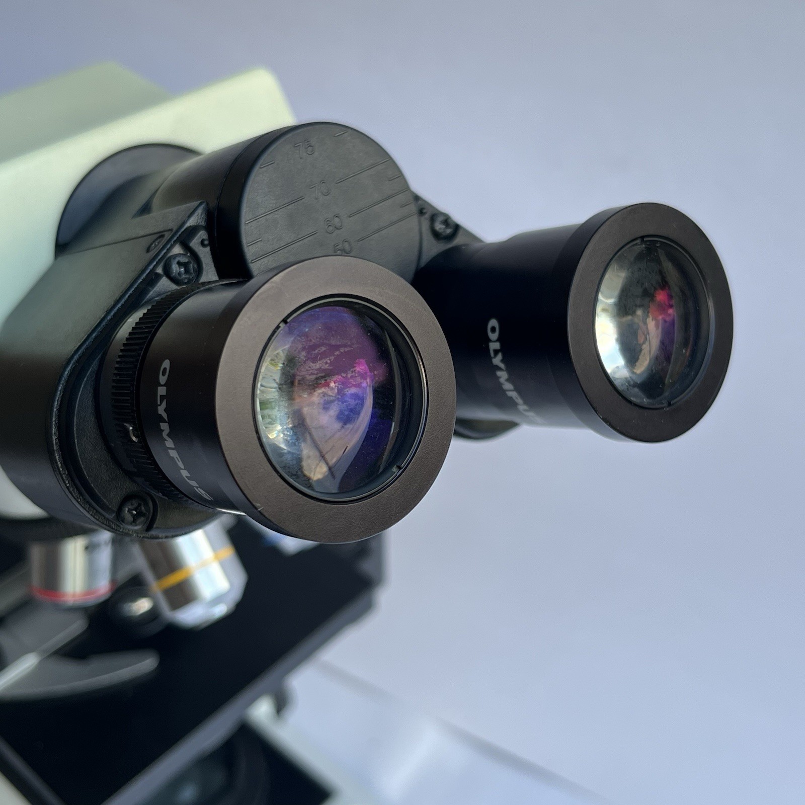 OLYMPUS CX21 CX21FS1 Binocular Microscope Plan x4 x10 x40 x100 Objectives