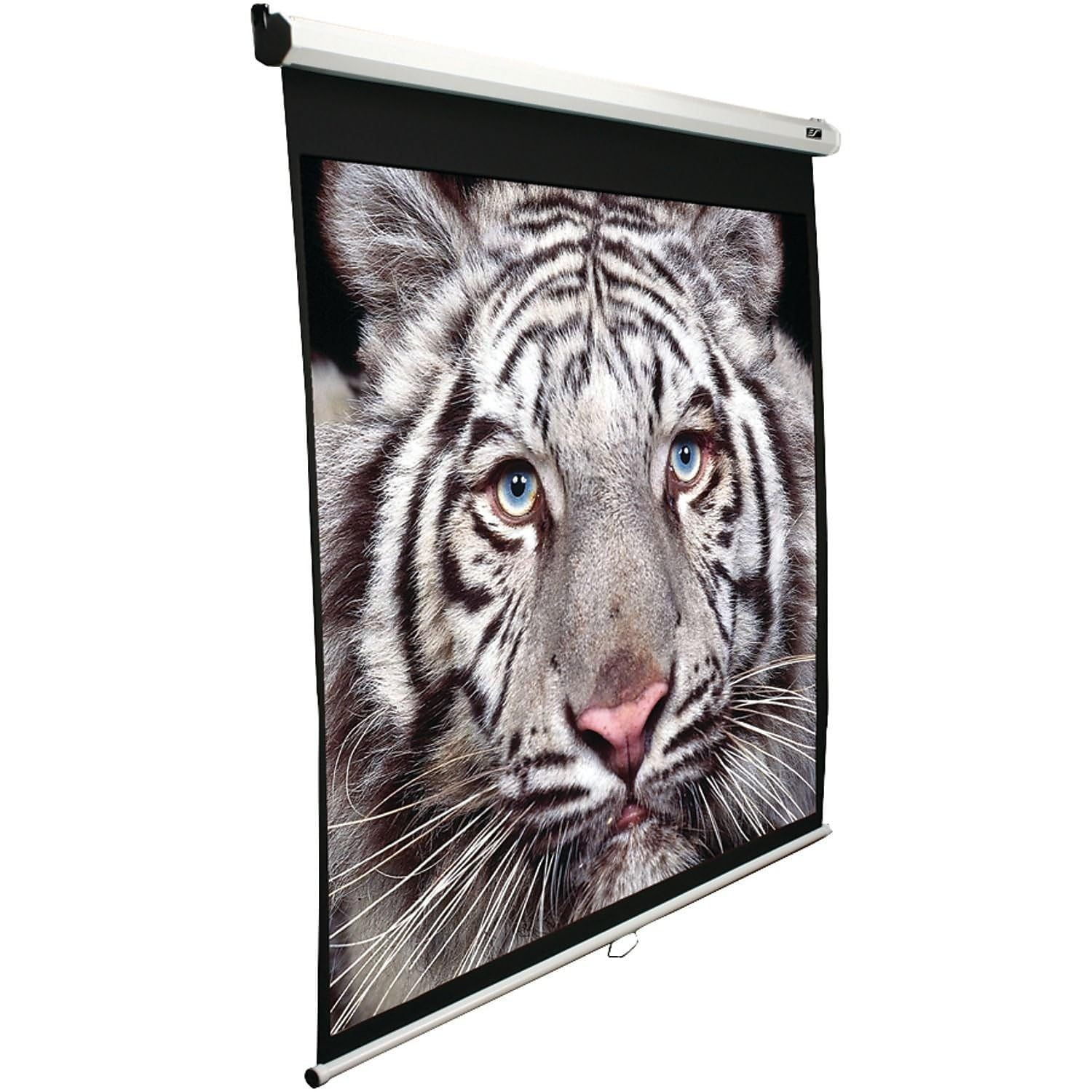 Elite Screens Manual B, 100-INCH Pull Down Projector 100 INCH, White