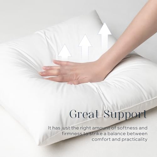 Feather Pillow Inserts, 100% Down Feather Throw 18" x 18" (Pack of 2) White