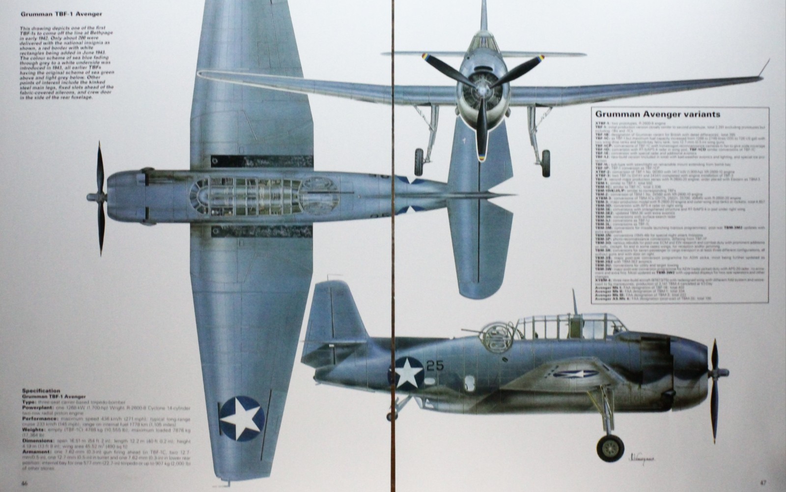 Avenger Grumman Plane Picture Article Vtg Wall Art Aircraft Sheet Display