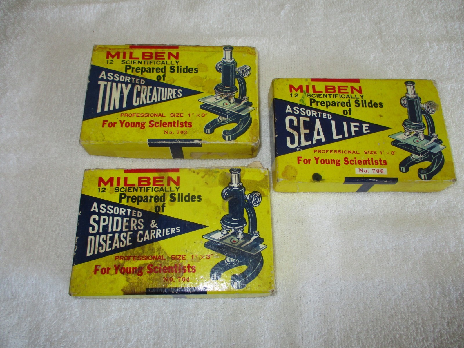 LOT OF 3 COMPLETE MILBEN PREPARED SLIDES SEA LIFE TINY CREATURES SPIDERS DISEASE