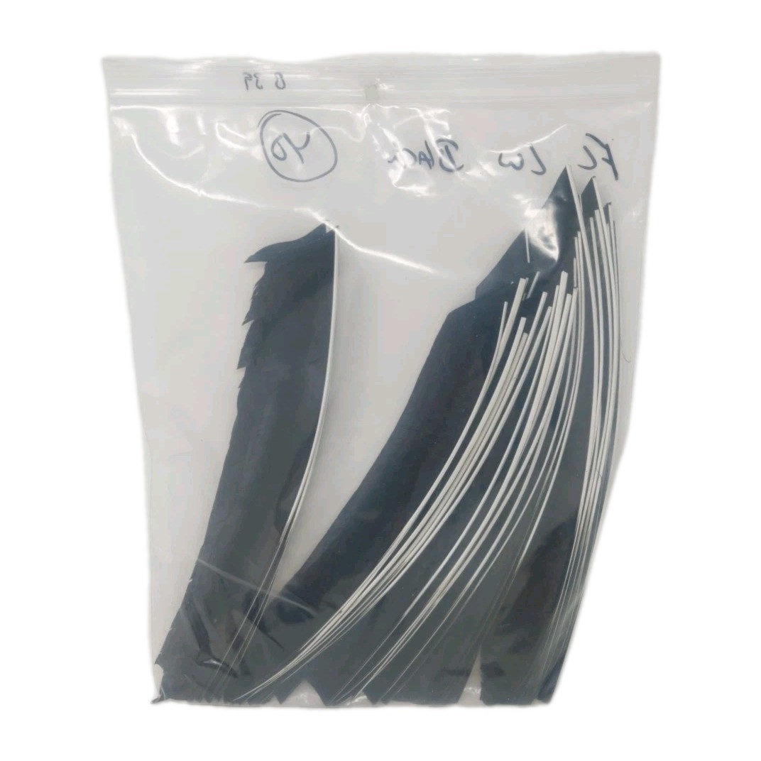 40 Count Archery Arrow Feathers FULL LENGTH 10.5" Left Wing: Black