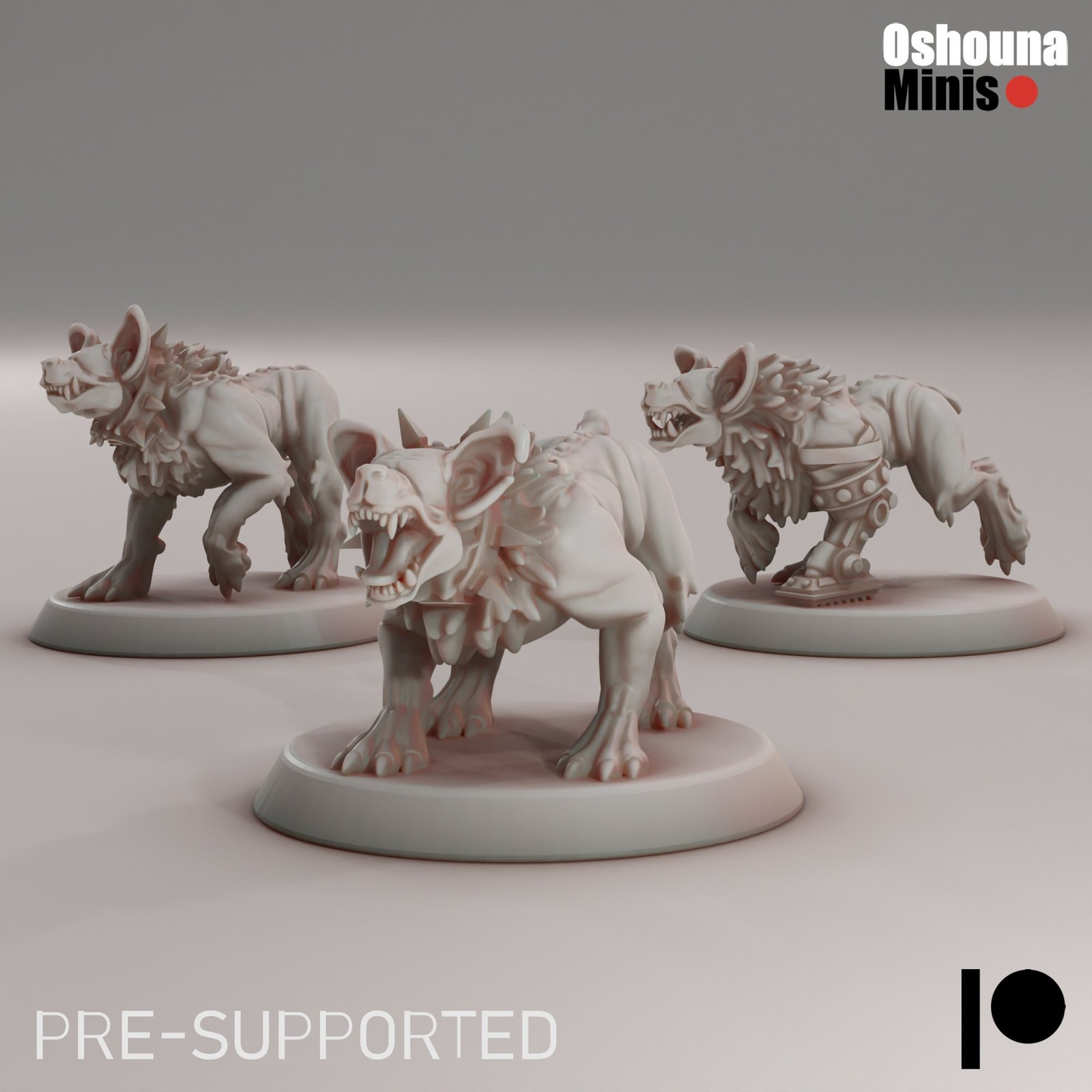 CHAOS ECHO HOUNDS