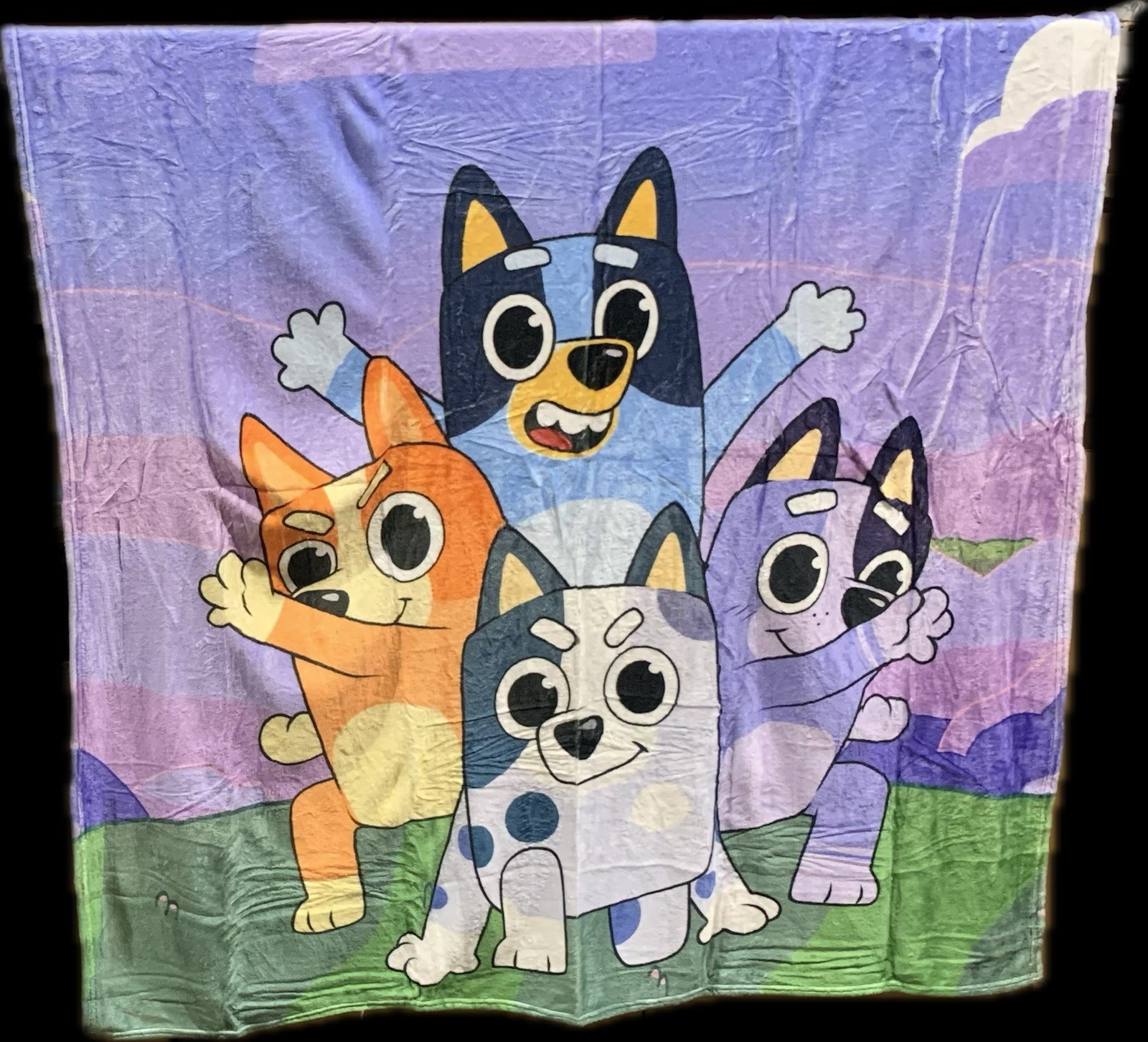 New Bluey Character Blanket 50x60 In. Soft