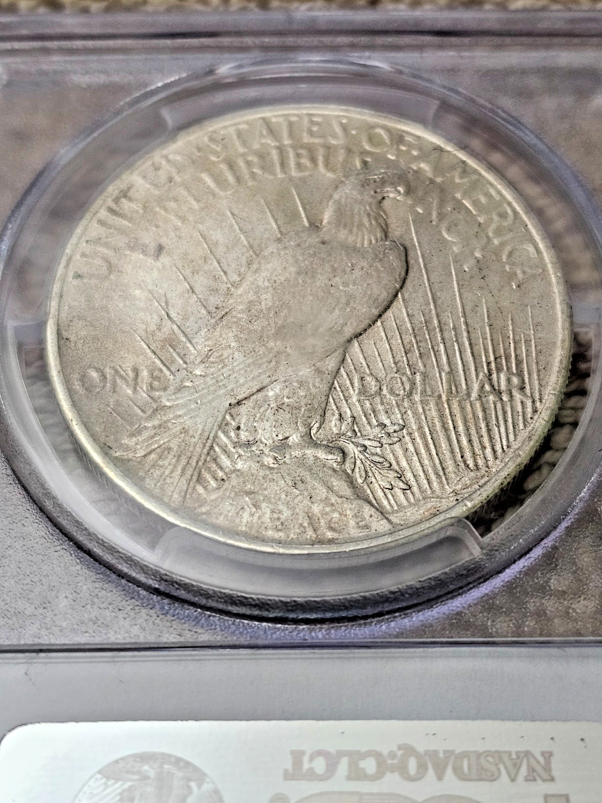 1925 Silver Peace Dollar PCGS MS64 Free shipping