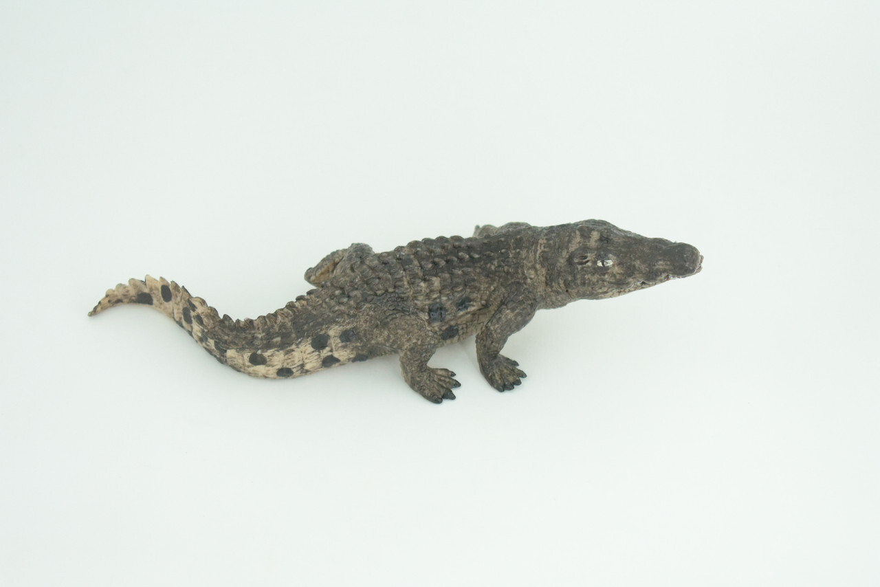 Alligator Toy, Crocodile, Movable Jaws, Realistic Rubber Model, 7" CH817 BB189