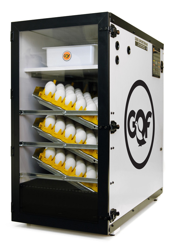 NEW GQF 1502 - Digital Sportsman Cabinet Incubator Complete Package MADE IN USA