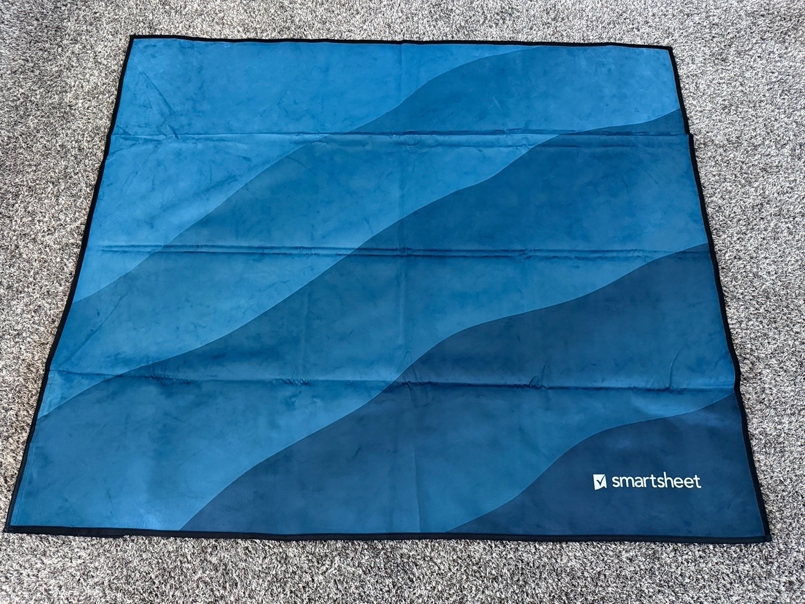 Smartsheet Picnic Blanket Waterproof Outdoor Stadium Beach Blanket Blue Promo