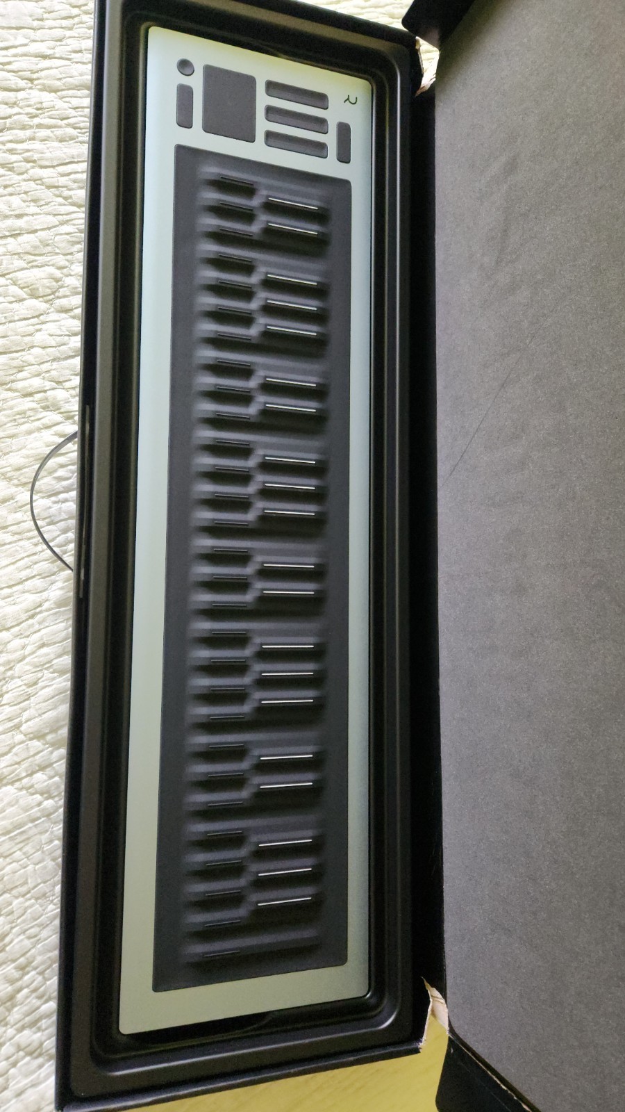 ROLI Seaboard RISE 2 49-Key USB Pad Trigger Digital MIDI Keyboard Controller