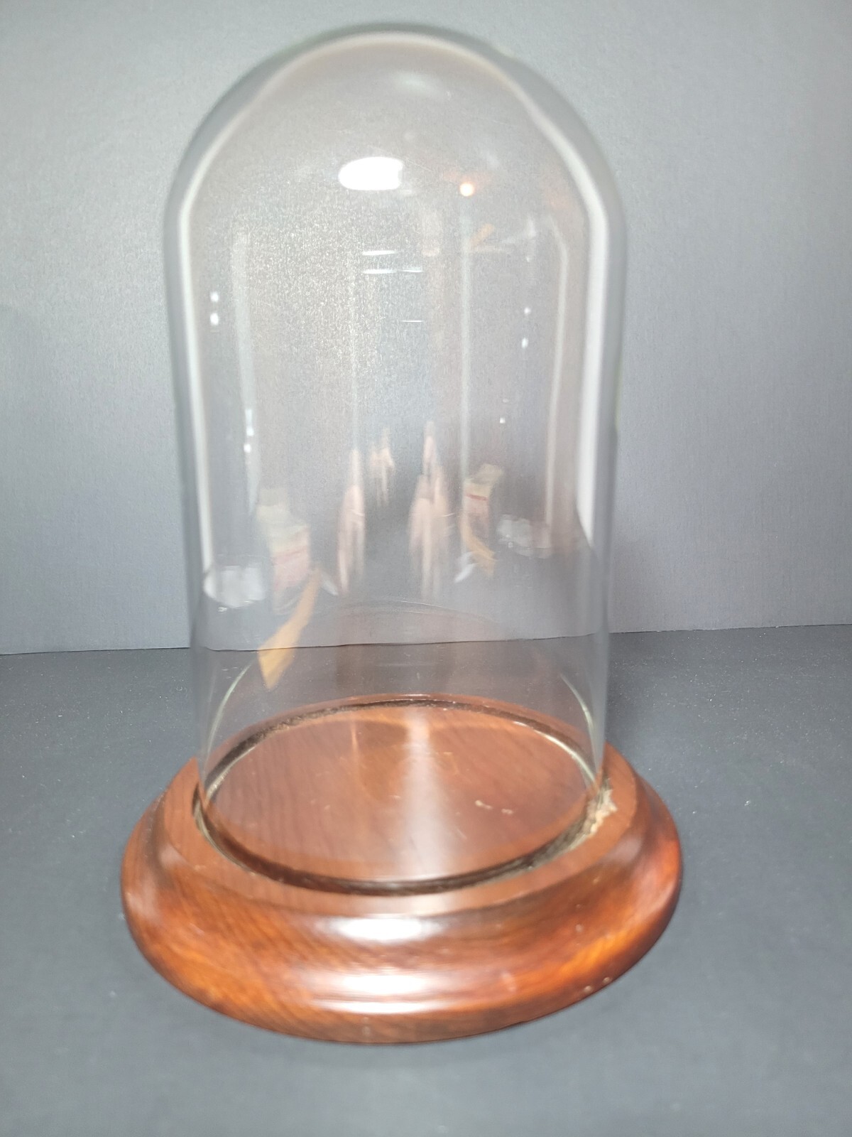 Glass Display Cloche Bell Dome 7"x4" with Solid Wood  Base