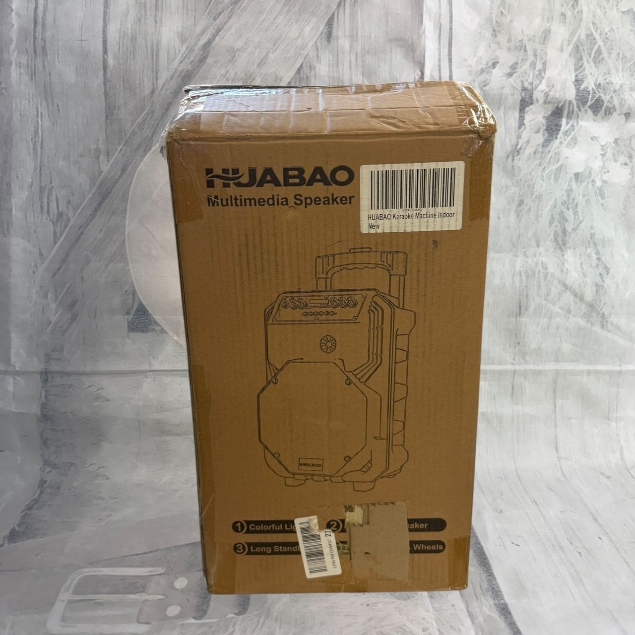 Karaoke Machine with 2 Wireless Microphones & Bluetooth Speaker