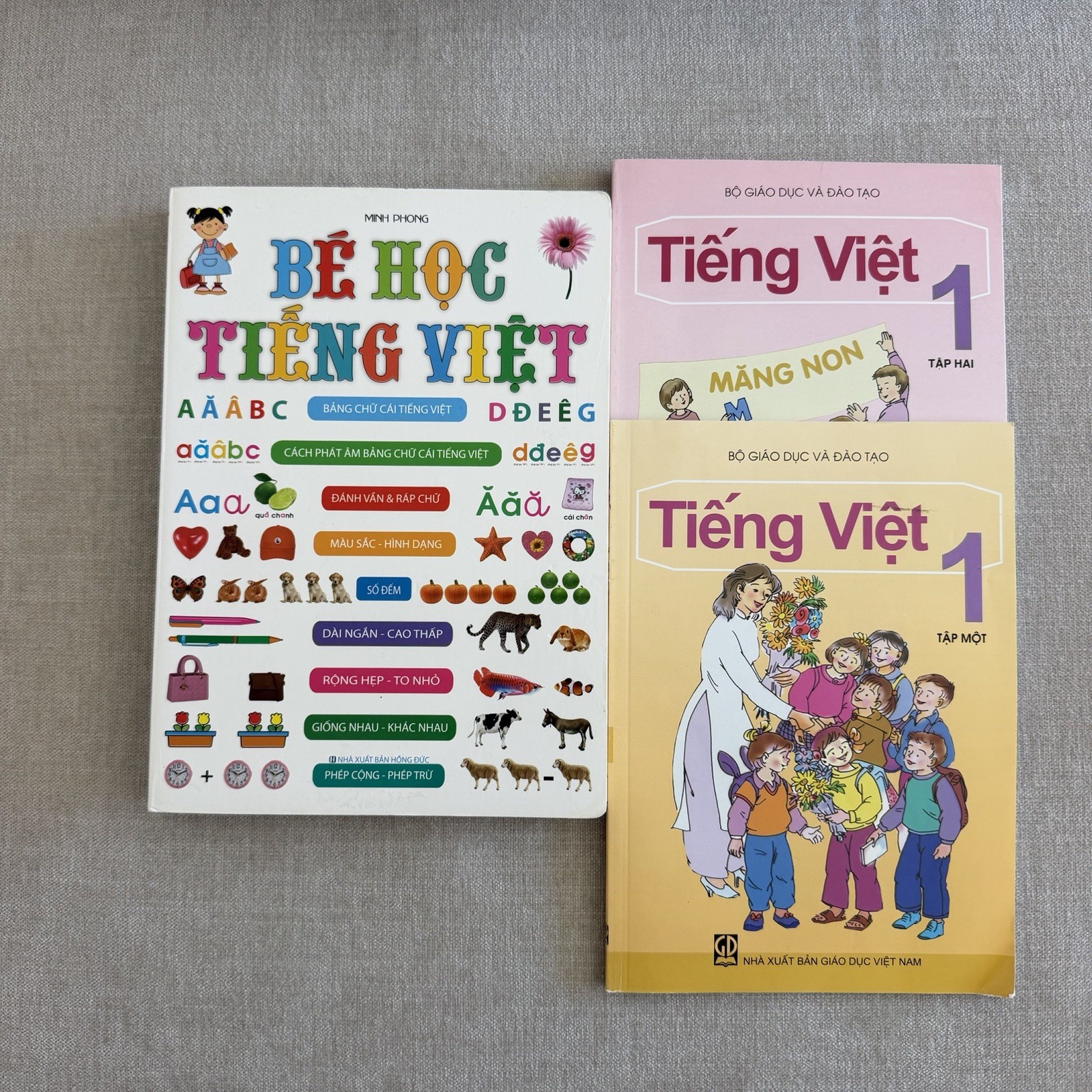 Vietnamese Basic Reading Textbooks Beginning Elementary First Readers 3 Book Lot
