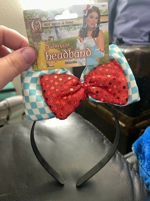 Farm Girl Headband Dorothy Wizard Oz Fancy Dress Up Halloween Costume Accessory