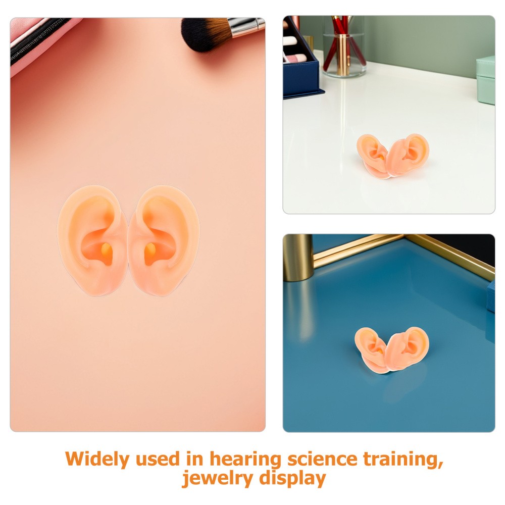 2 Pair Piercing Ear Model Human Anatomy Fake Display Mold Earpiece