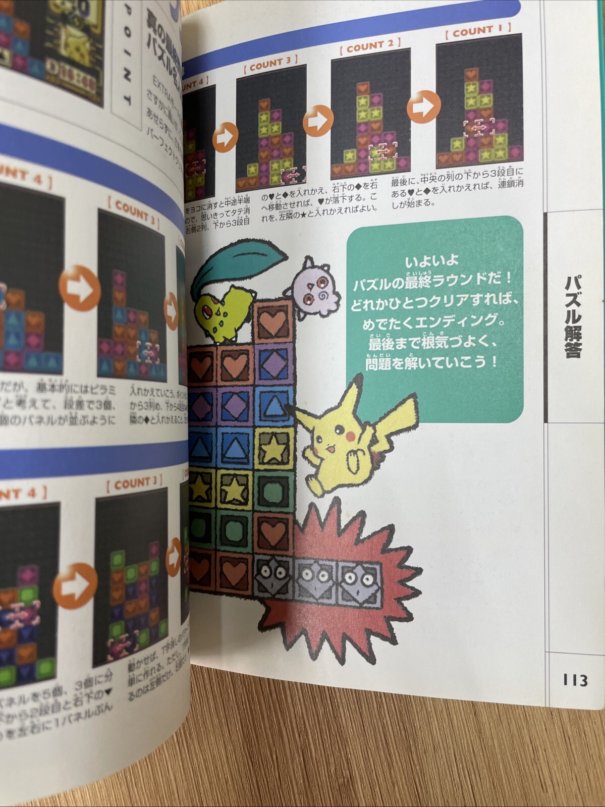 POKEMON DE PANEPON Nintendo Official Guide Sticker japnese Book