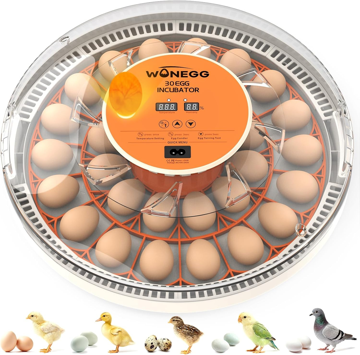 Incubator for Hatching Eggs, 30 Eggs Incubator with Automatic Egg Turning