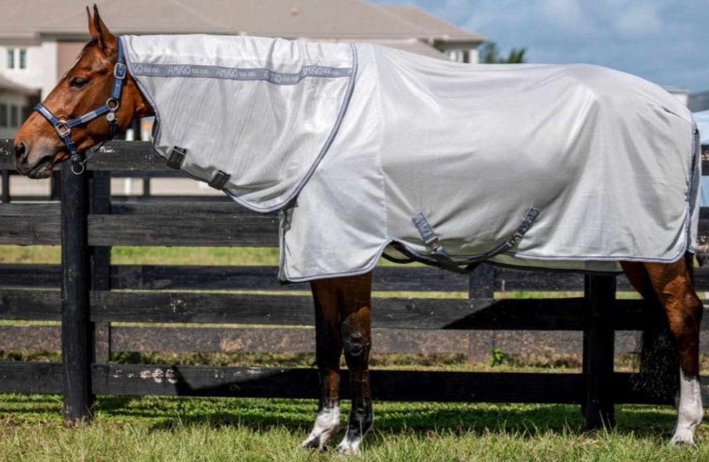 Horseware Ireland Amigo Bug Rug Plus-78"-Silver/Titanium Grey & Silver