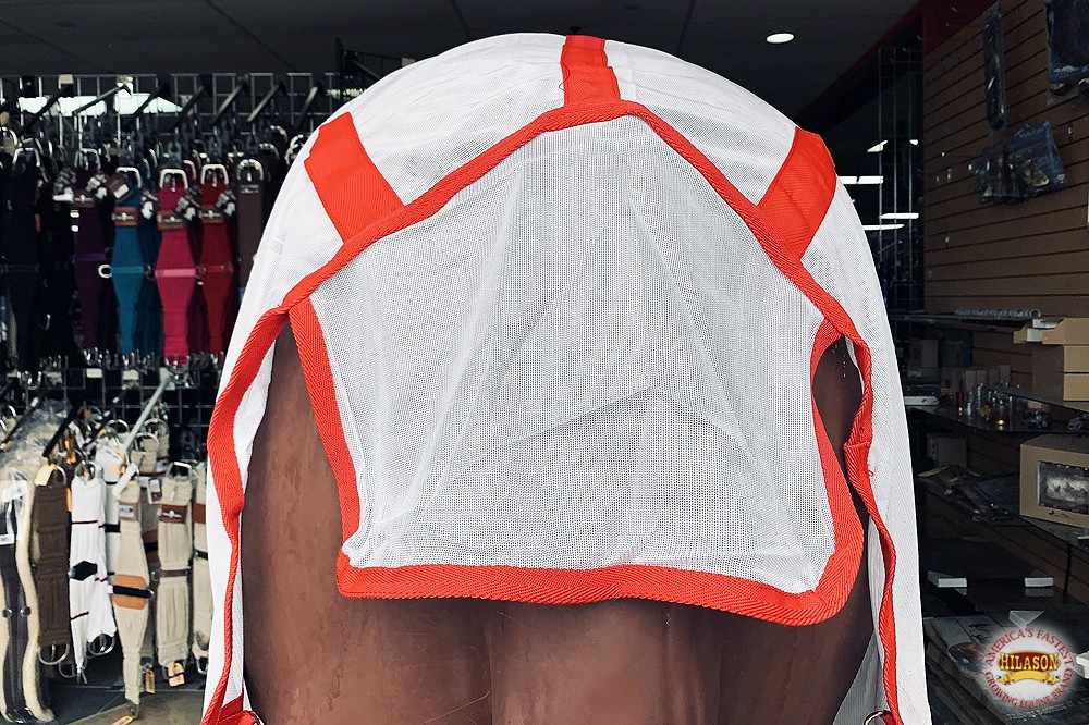 HILASON Horse Fly Sheet UV Protect Breathable Mesh Bug Mosquito Spring | Summer