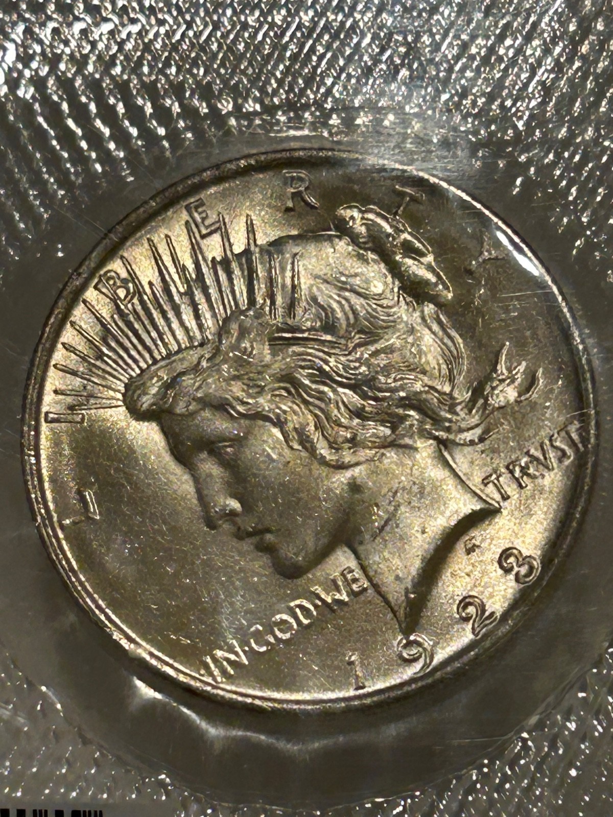1923 P Peace Silver Dollar PCGS MS63 Original GSA Softpack Encapsulated