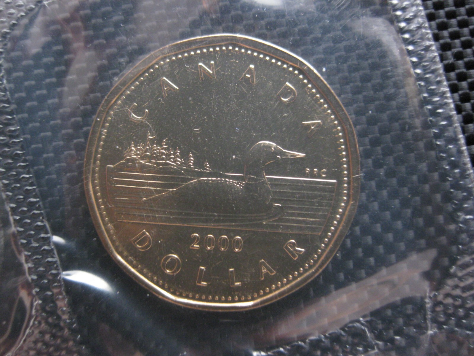 2000 "W" Canadian Prooflike Loonie ($1.00)