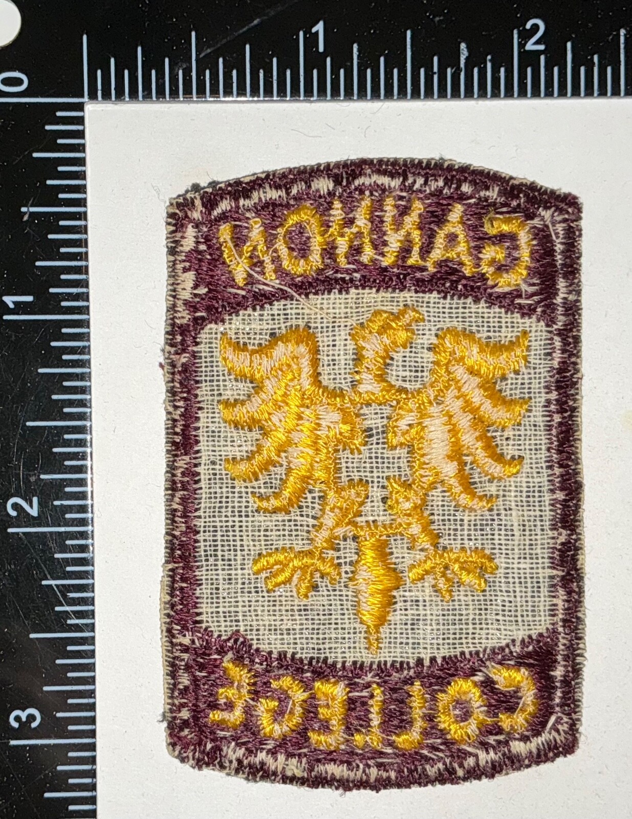 Gannon College Army Reserve Officer Training Corps ROTC Patch
