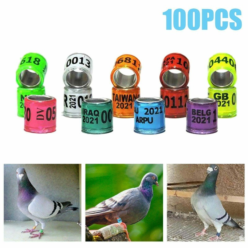 100pcs x 2022 Year Aluminum Bird Racing Pigeon Leg Rings Bands for Poultry US