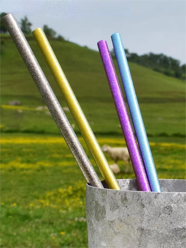 Titanium Straight Drinking Straw with Cleaning Brush Lightweight Reusable 8.6"