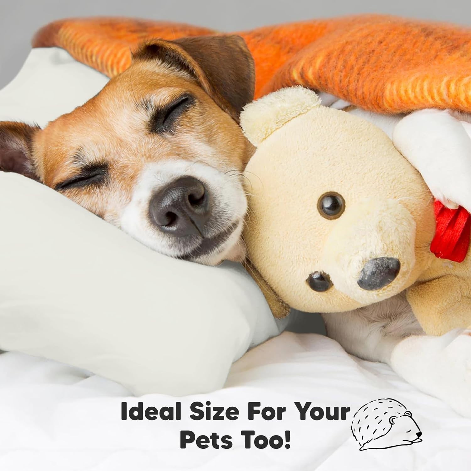 Organic Cotton Toddler Pillow & Pillowcase Set
