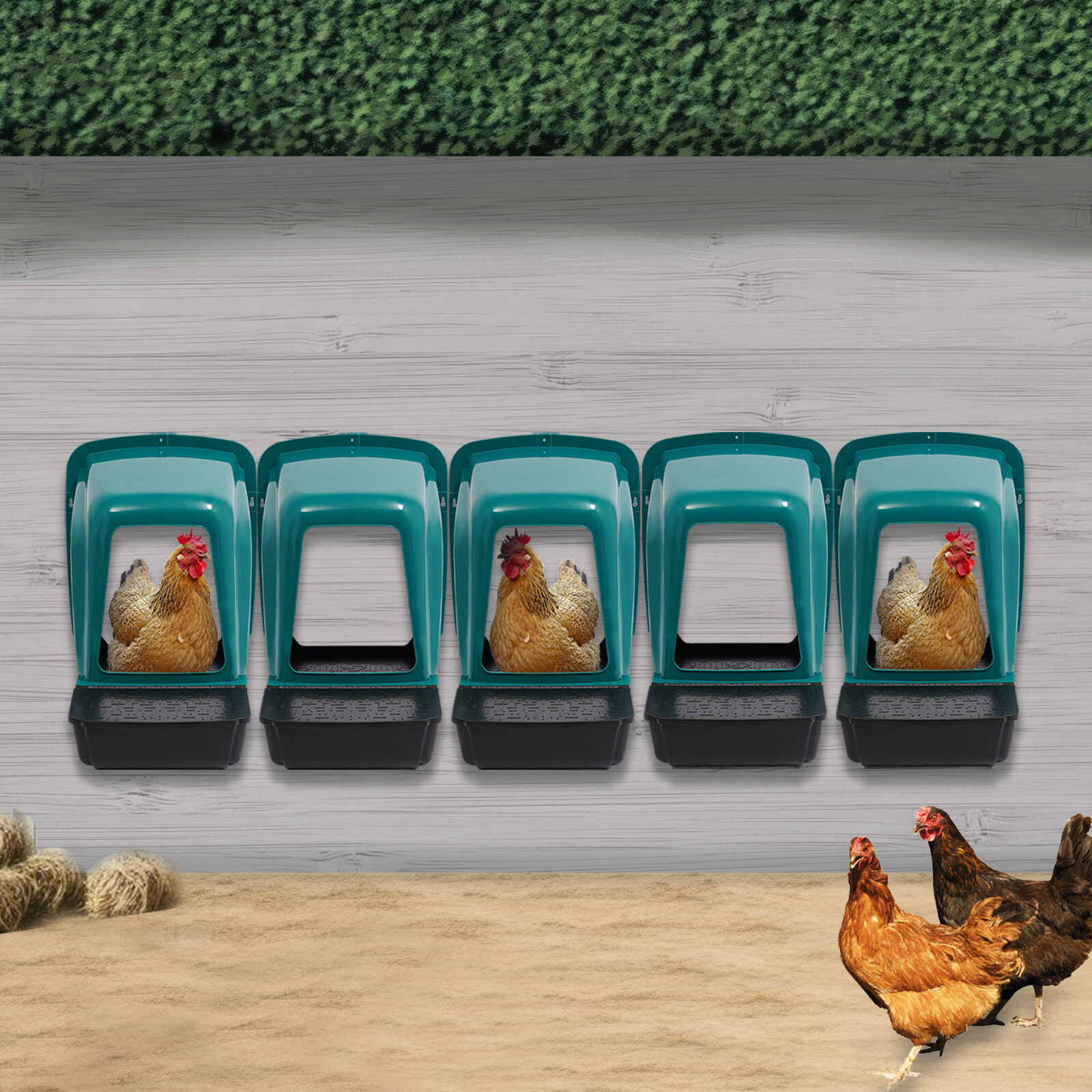 Nesting Boxes Egg Chicken Nesting Box Case For Chicken Coops Laying Wall-mounted