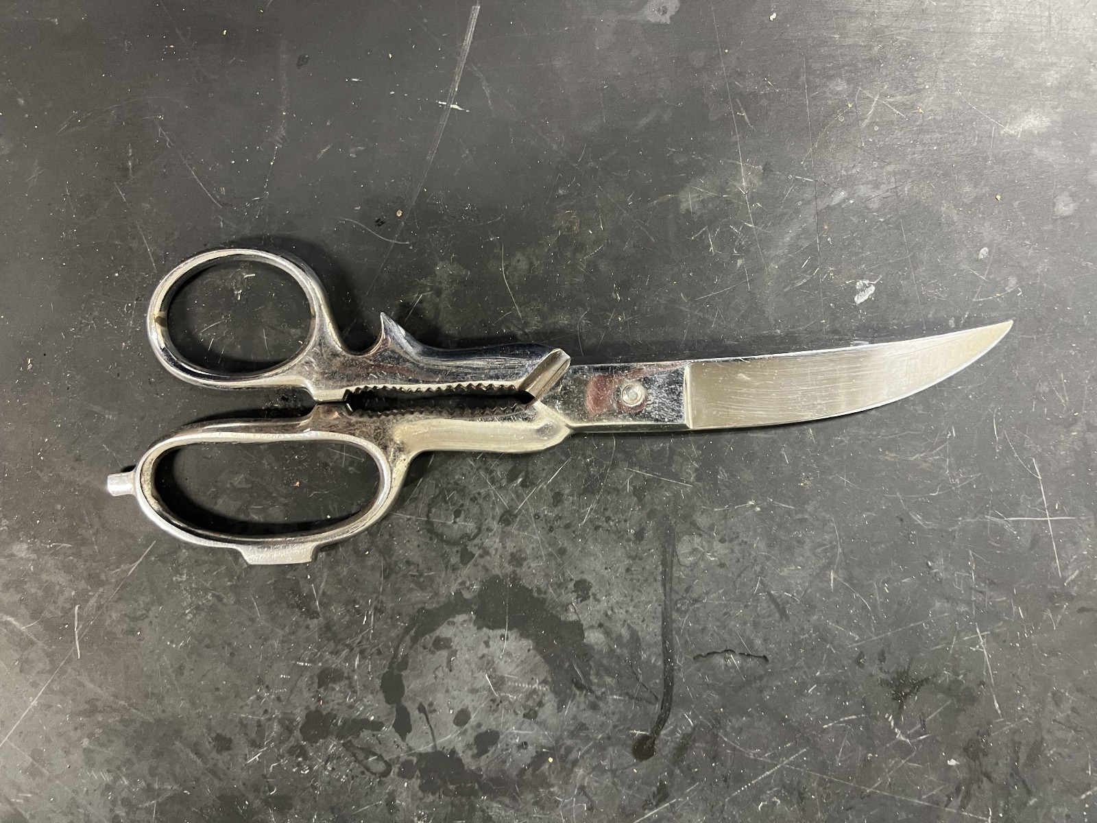Vtg Poultry, Fish, Game Shears ~ SHARP ~ FREE SHIPPING!!!!