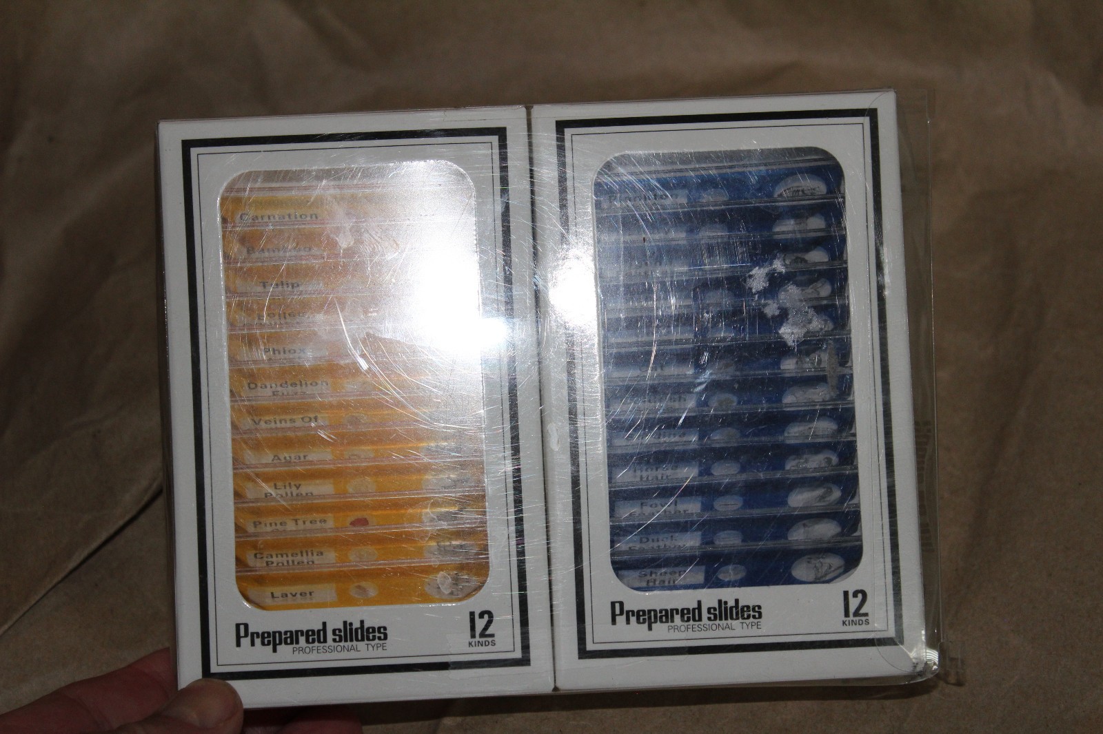 NEW DIY Science 48-Pack Prepared Microscope Slides Homeschool