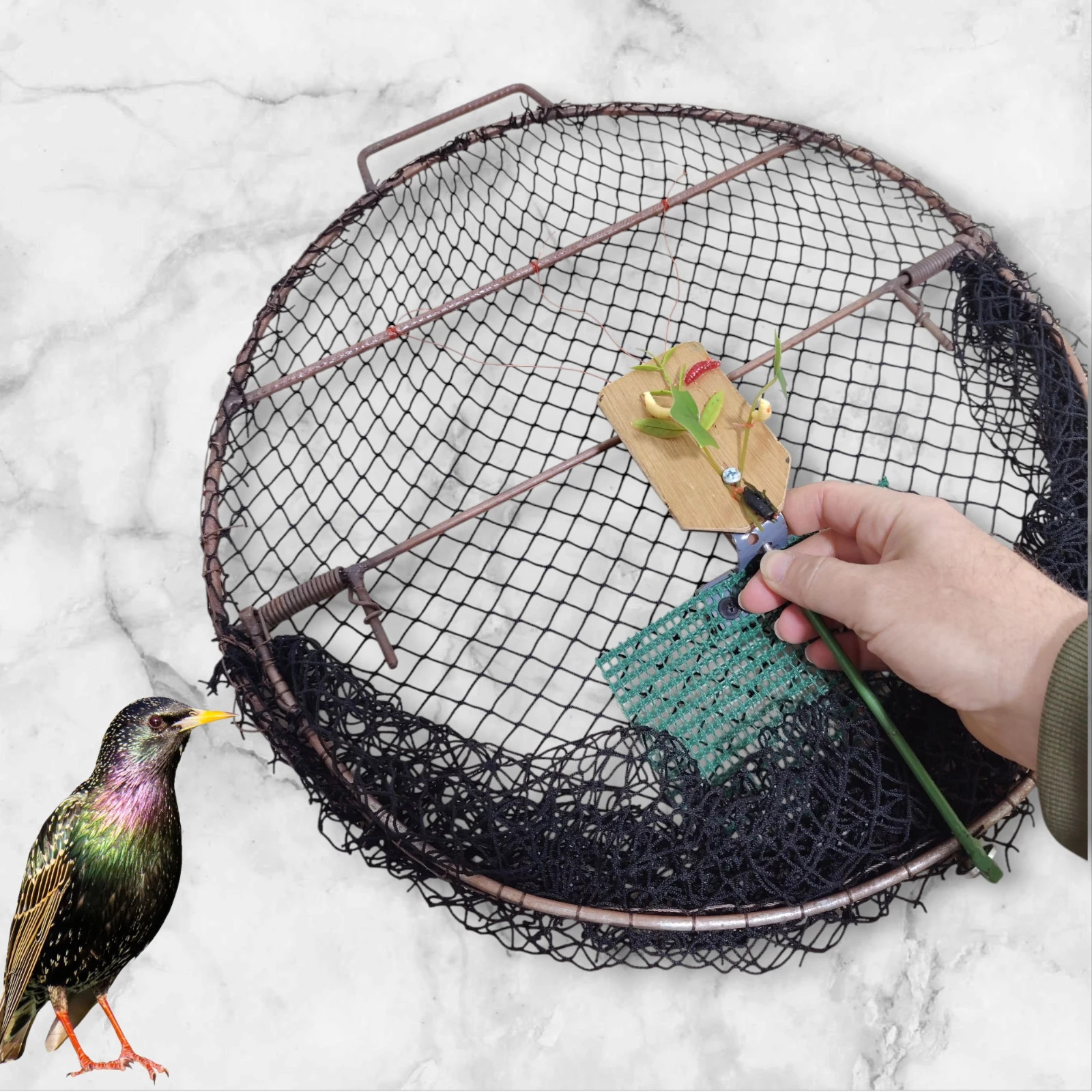 Oval Smart Bird Trap Net – Humane Catching Cage for Sparrows, Pigeons & parrot