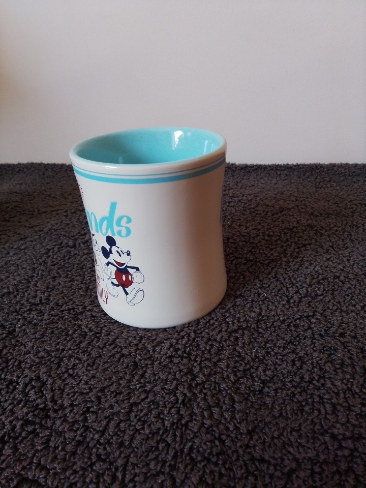 MICKEY MOUSE & PLUTO MUG (OFFICIAL DISNEY PRODUCT