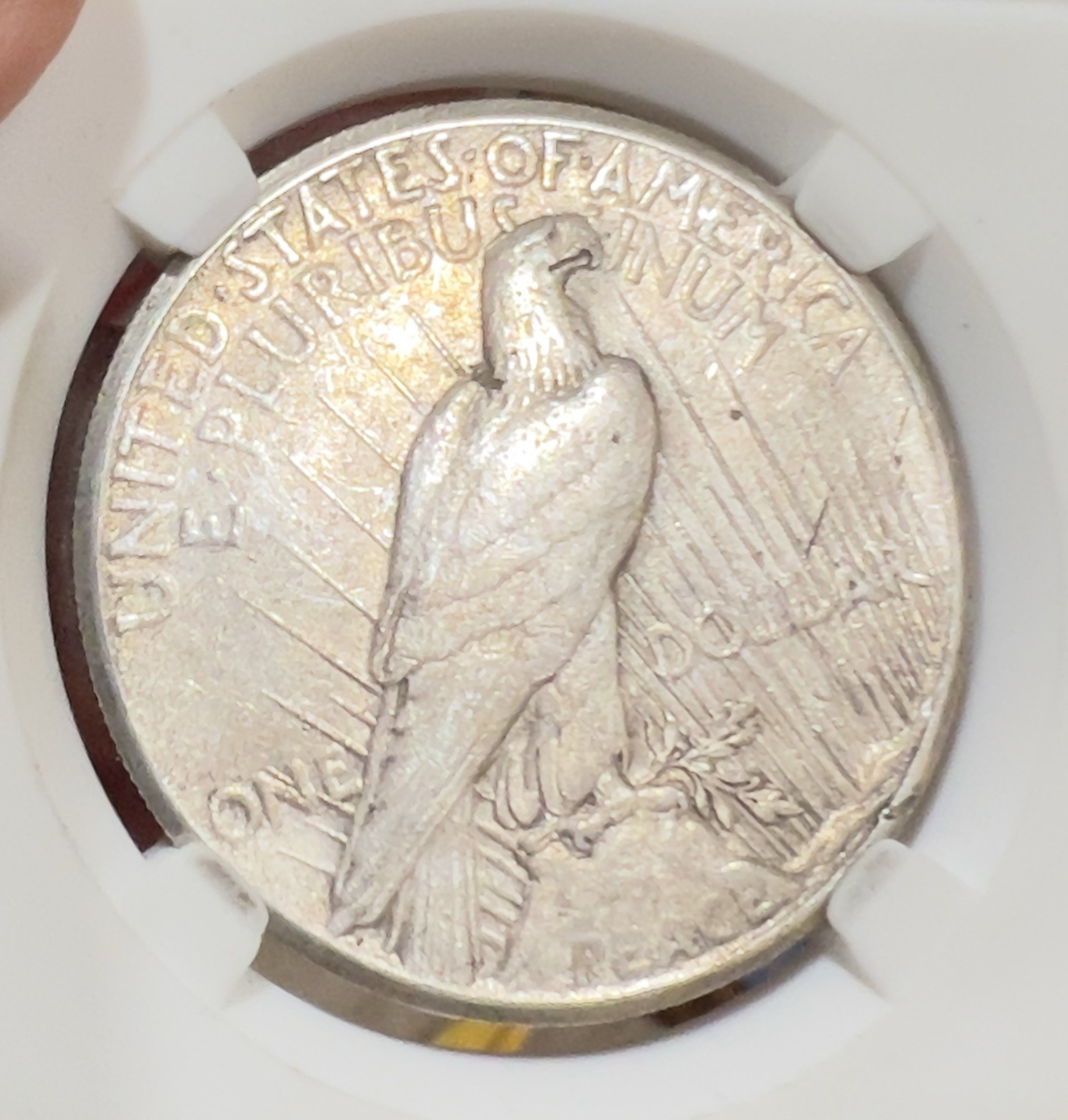 1927 - P Peace Silver Dollar $1 Coin ~ 43