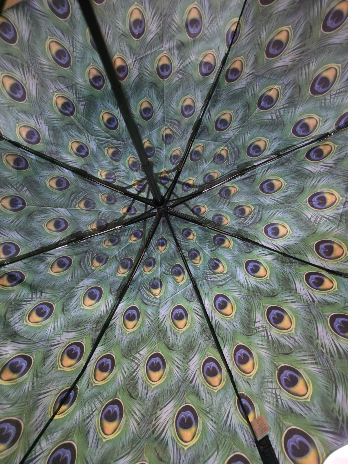 "GALLERIA Peacock Folding Umbrella "