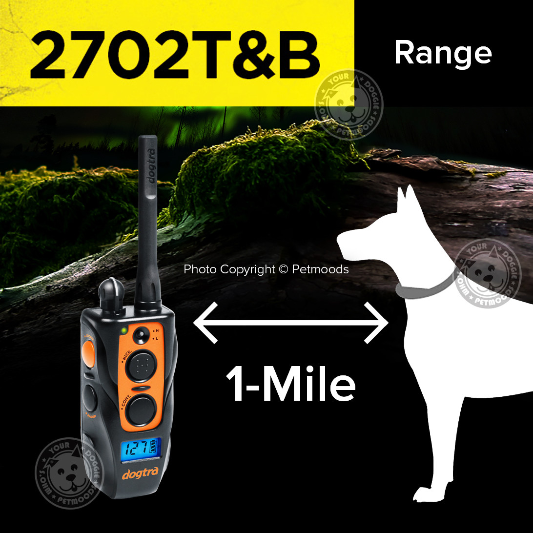 Dogtra 2702T&B Remote 2-Dog Training Beeper Collars Trainer System Train & Beep