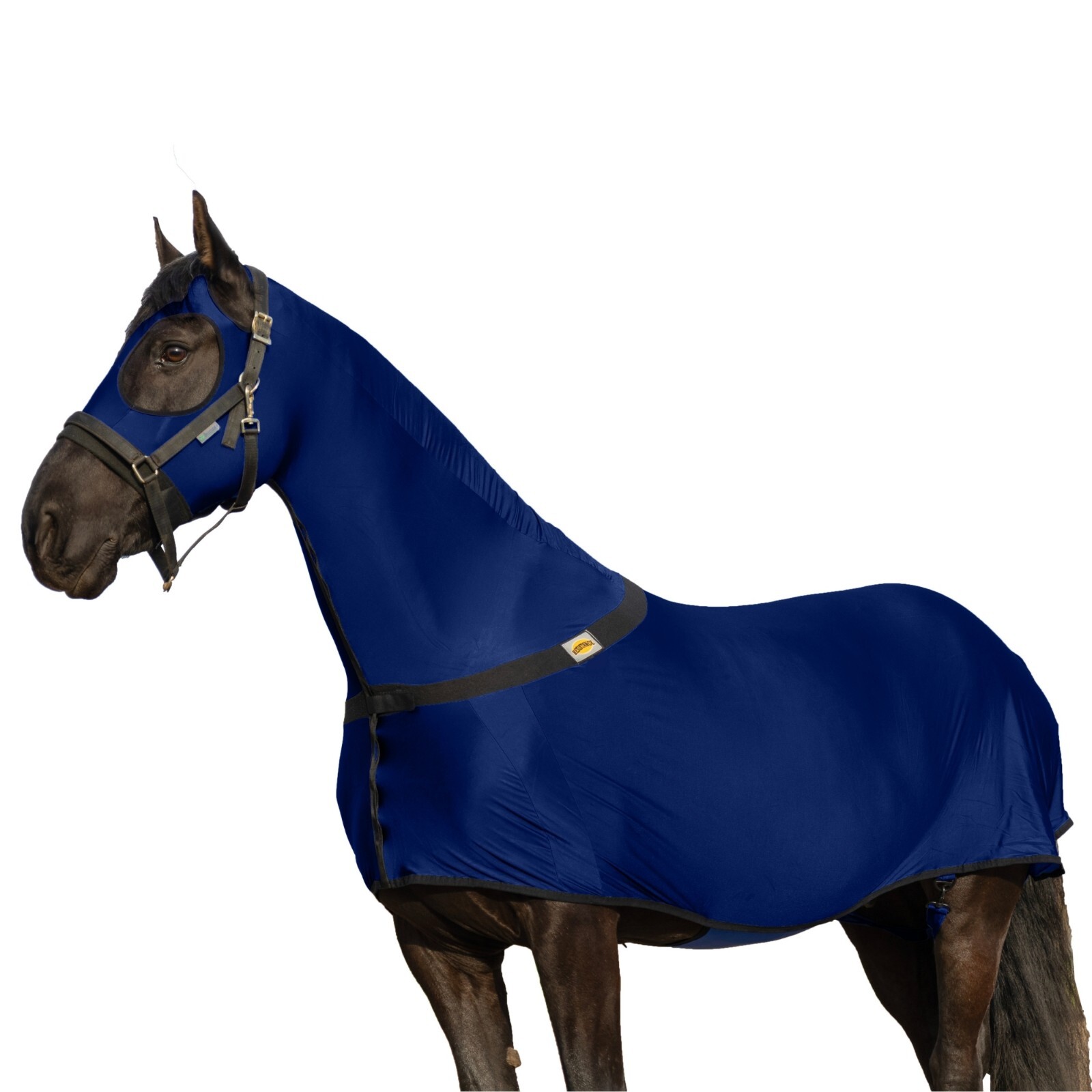 Premium Horse Full Body Slinky with Full Zipper Face and Forelock Saver