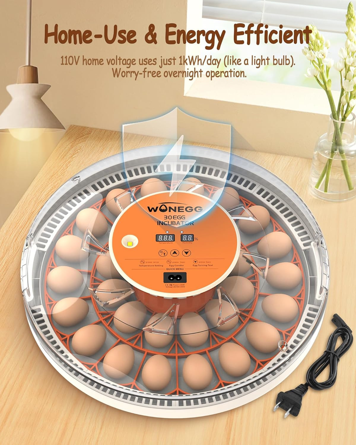 Incubator for Hatching Eggs, 30 Eggs Incubator with Automatic Egg Turning