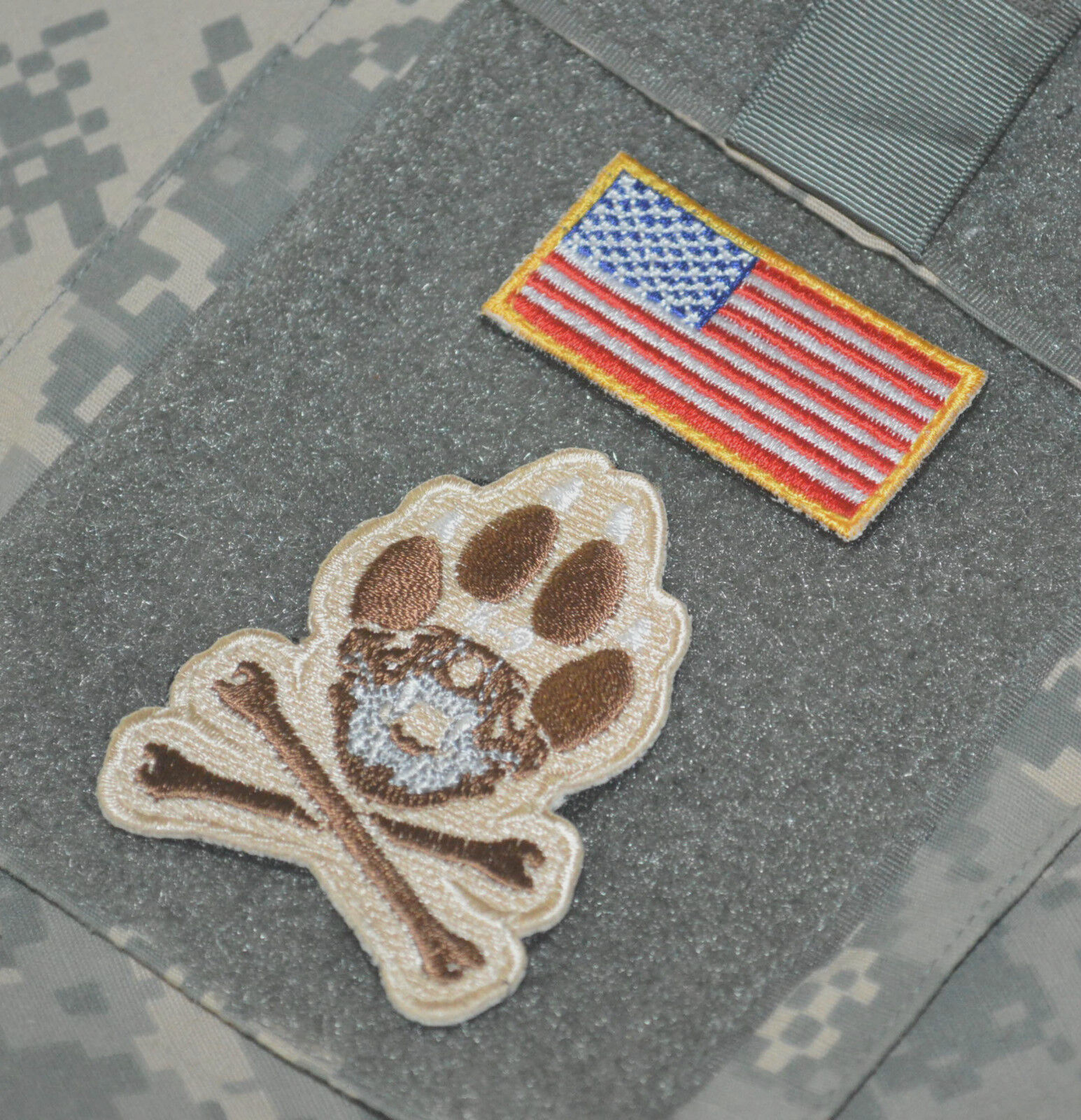 JOINT SP OPS TASK FORCE JSOTF-A SEAL ODA vêlkrö PATCH: MAJOR LEAGUE EOD K-9