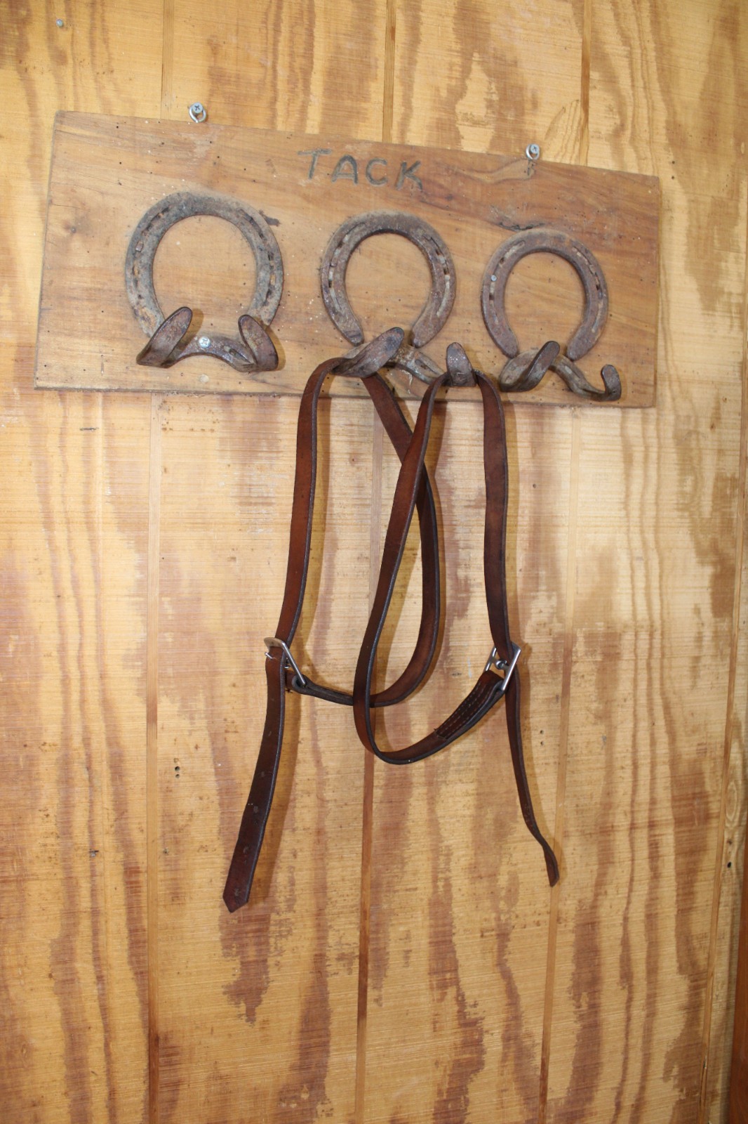 Kids 57" English Stirrup Leathers