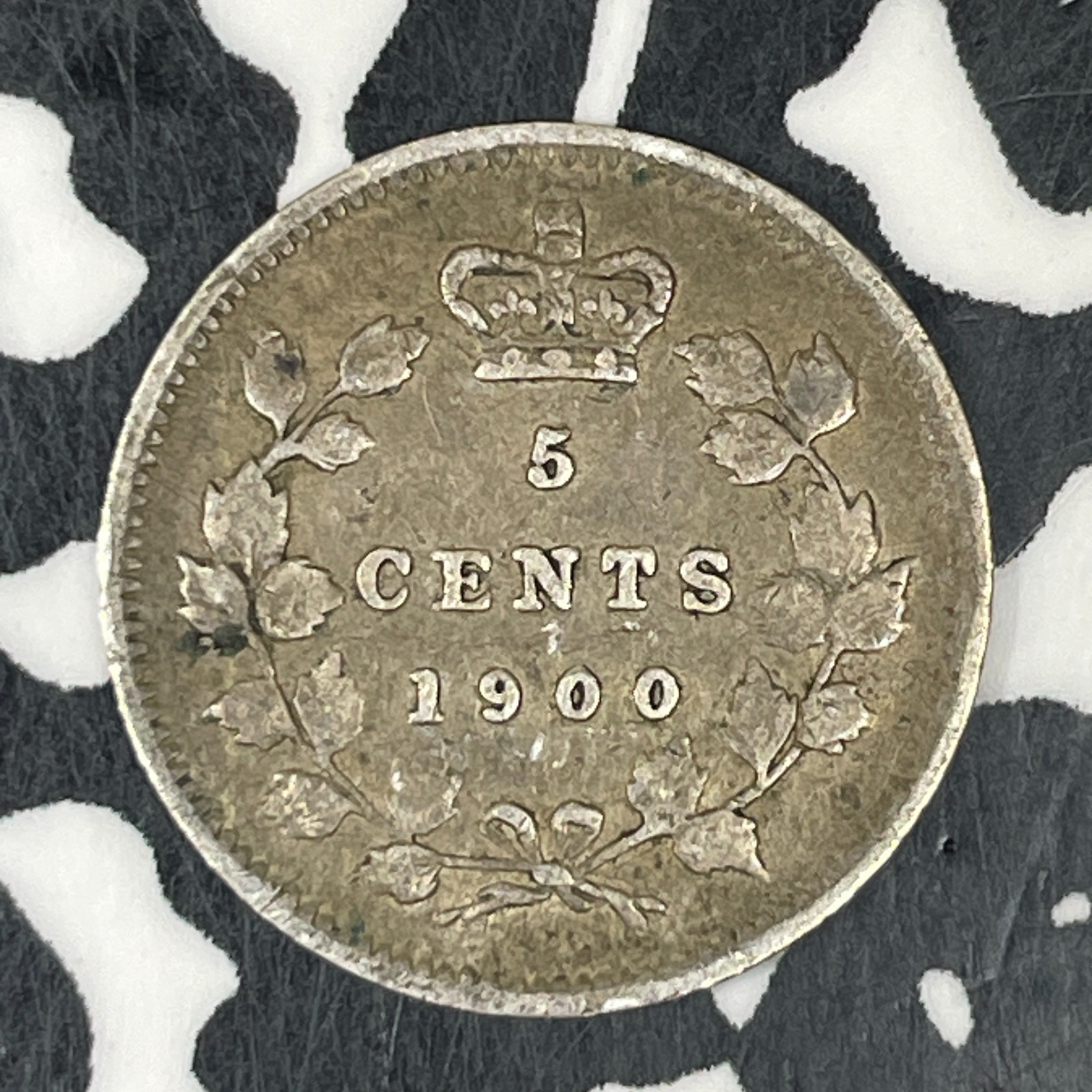 1900 Canada 5 Cents Lot#C8102 Silver! Nice!