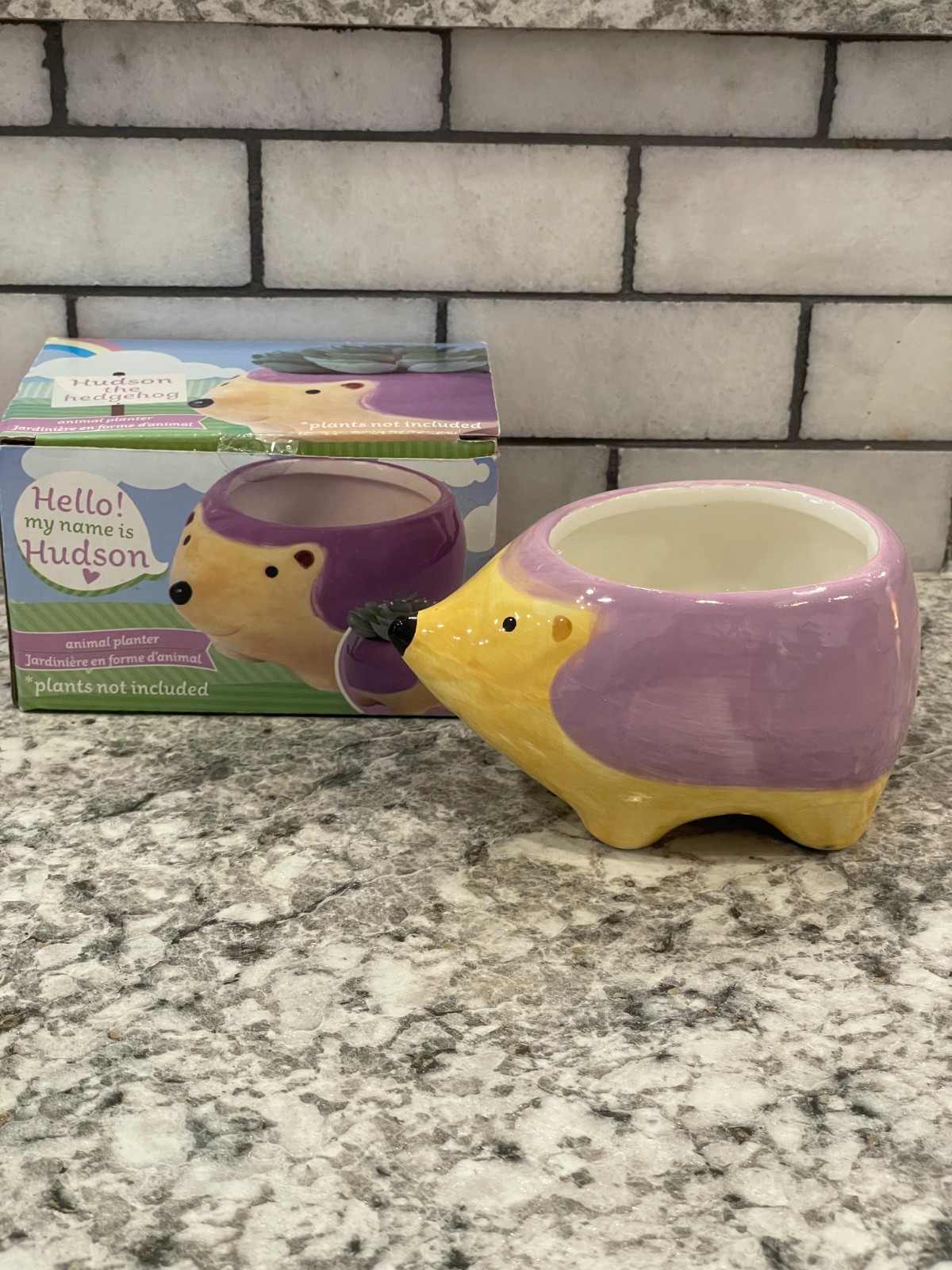 Hedgehog Animal Planter, "Hudson" Ceramic, *****New*****