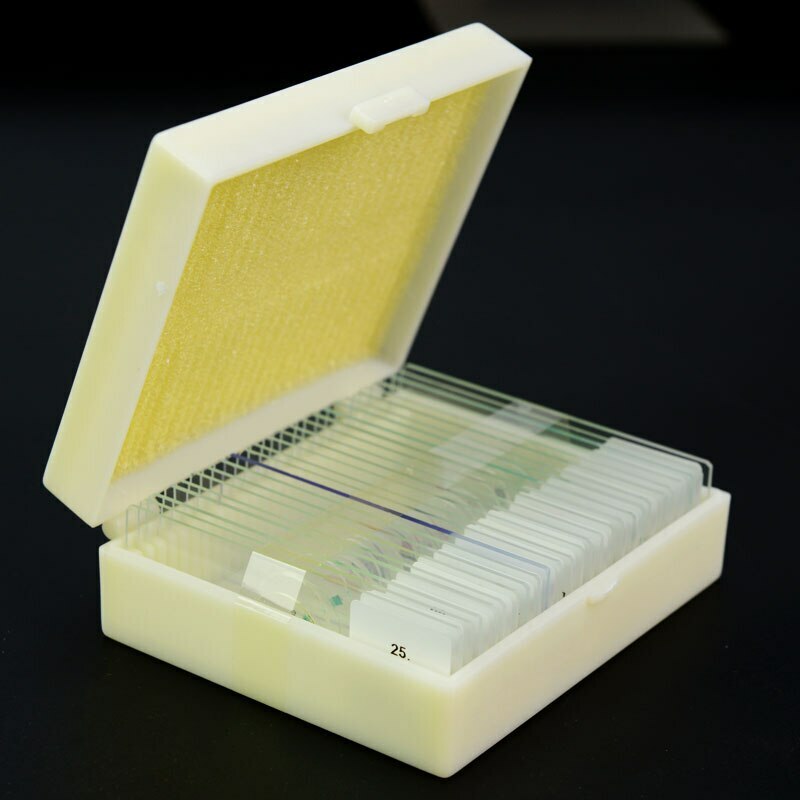 25pcs Glass Prepared Microscope Slides w/ Box For Biological Basic Science Lab
